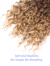 Load image into Gallery viewer, Trending Boho Crochet Braids