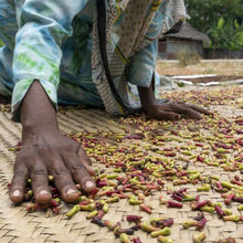 Load image into Gallery viewer, Miracle Hair Boost Extreme Natural Growth Oil 😳