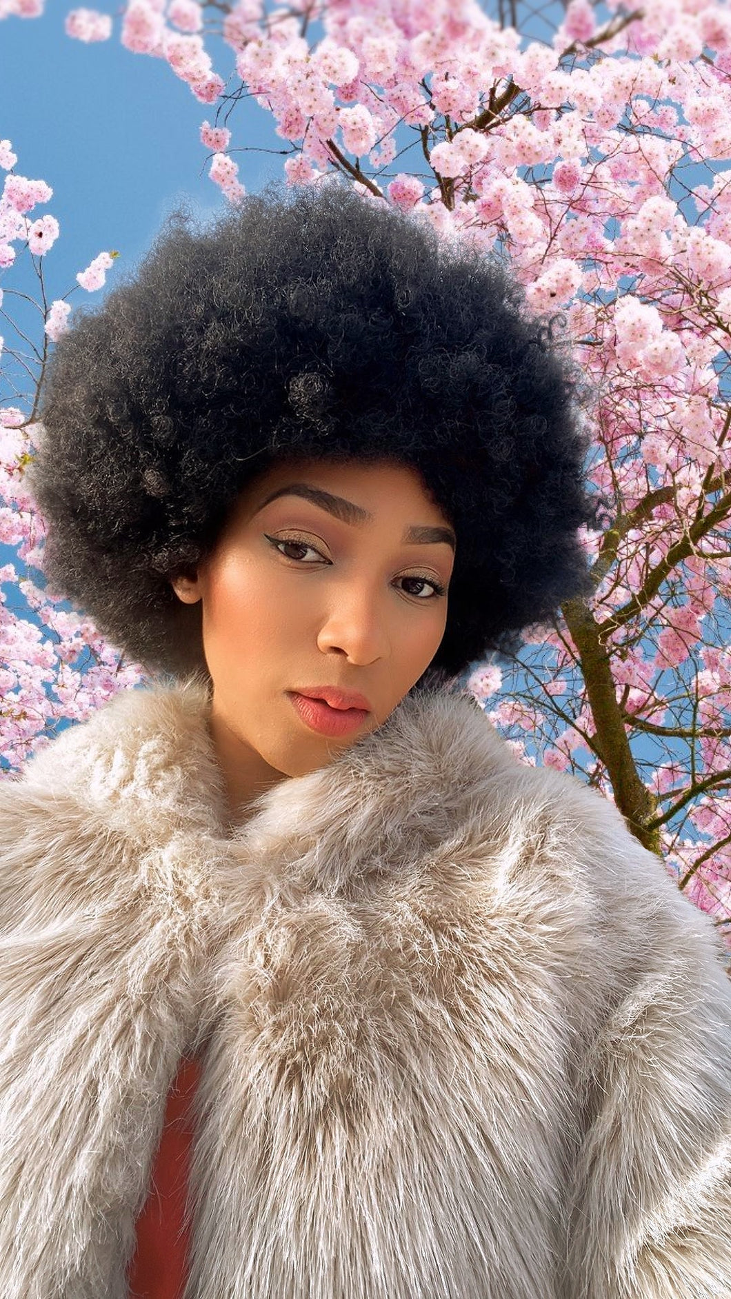 Celebrity-Style Natural Afro Wig for the Stylish Black Woman - Dimma